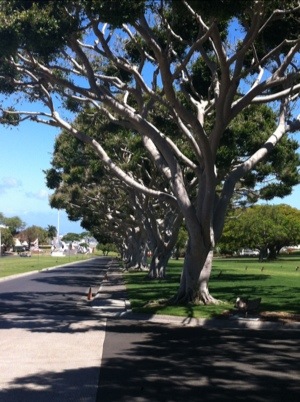 20120625-090715.jpg