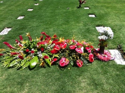 20120625-091051.jpg