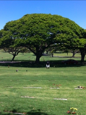 20120625-091224.jpg