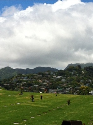 20120625-091245.jpg